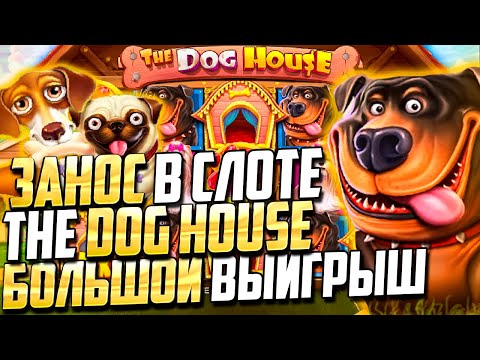 Играйте в онлайн-казино через бота Телеграм: обзор и инструкции