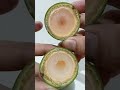 Satisfying video Mini Coconut #Short#Viral