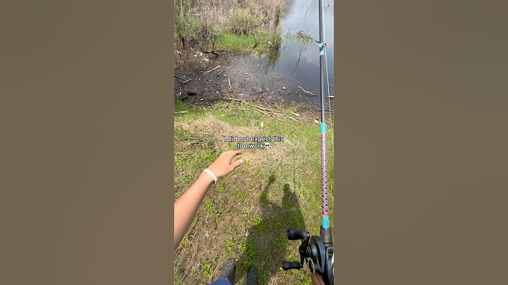 I did NOT expect this to work!😳 #fishing #shorts