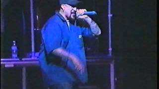 Cypress Hill  'Insane in the Membrane' live lollapalooza concert performance