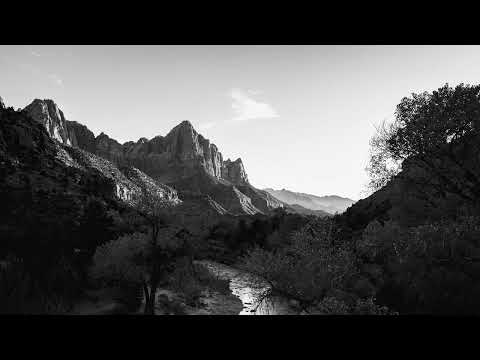 Antdot, Tato, soa - Morar No Mar