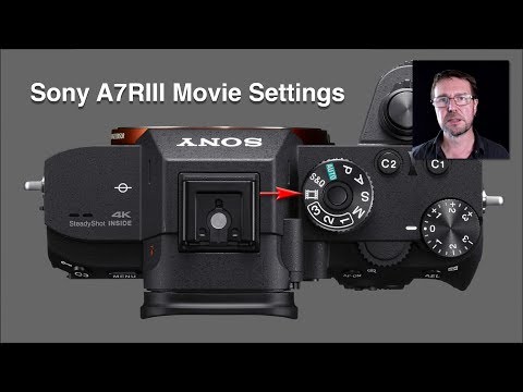 Sony Alpha A7Riii And A7Iii Custom Settings For Movies