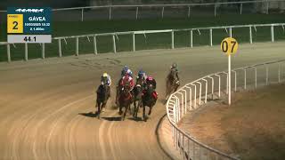 Vidéo de la course PMU PREMIO HELIACO