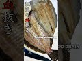 死んだ魚の血管に食塩水を流すとどうなるか#Shorts