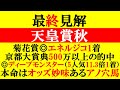 【天皇賞秋 最終見解 2025】菊花賞◎エネルジコ1着！本命はオッズ妙味あるアノ穴馬！！