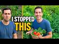 I Stopped Doing This in My Garden — And Everything Grew Better