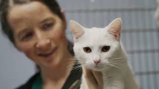 Crescent Veterinary Clinic