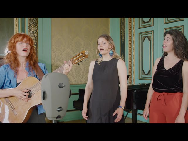 Vox Sturnus live session · Als Iemand
