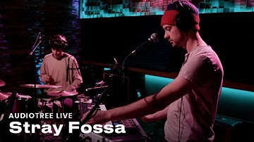 Stray Fossa - Into | Audiotree Live