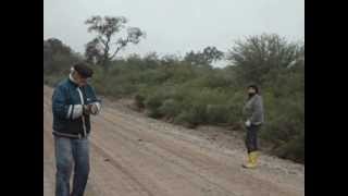 Amado ARMADO Quinteros