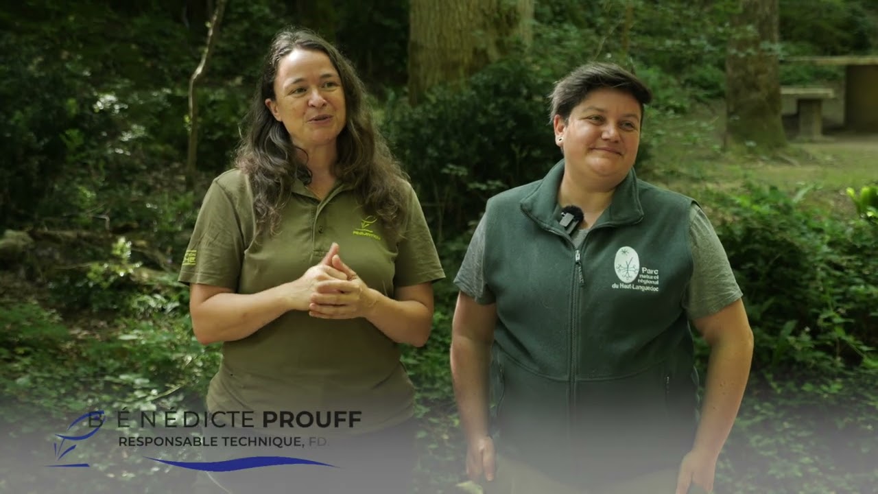 Websérie sur les milieux aquatiques - épisode 2  Les écrevisses à pattes blanches