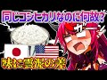 【日英字幕】日本とアメリカのコメの違いに気づいてしまったアイリスw【ホロライブEN翻訳切り抜き・IRyS】