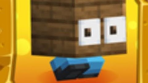 I got Level 75 in Hide and Seek on The Hive (Eleventh game maxed)