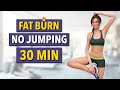 Effective 30 MIN – NO JUMPING - Full Body Fat Burn Workout