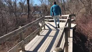 A respite of nature in downtown Concord, MA: Chamberlin Park in Concord, MA