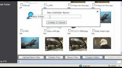 Image Store Create New Folder - Websiteforge Ecommerce Website