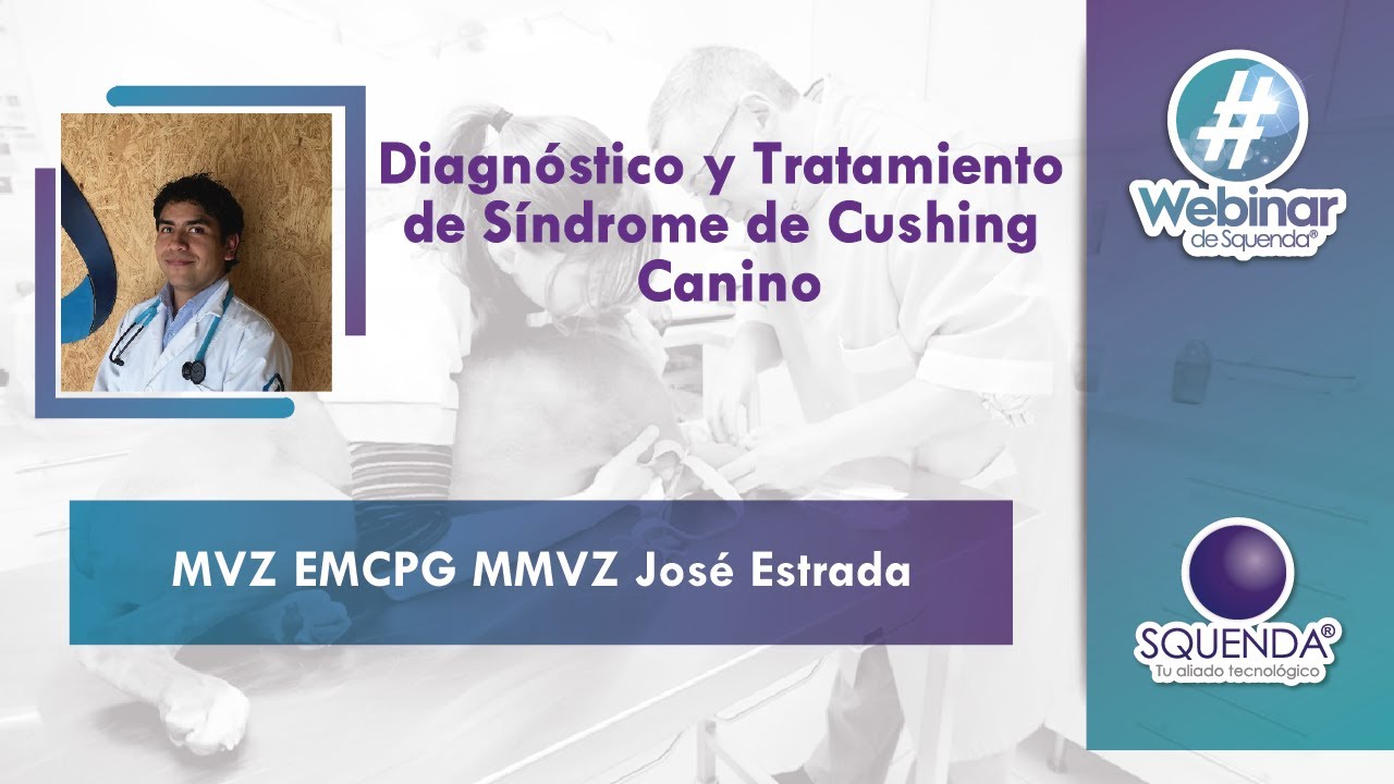 Síndrome De Cushing Canino  - MVZ ESP. MMVZ José David Estrada Miranda