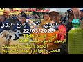 أثمنة الغنم والدجاج واللحوم والخضر سوق الأحد سبع عيون اليوم 22 03 2026 أثمنة الغنم والدجاج واللحوم والخضر سوق الأحد سبع عيون اليوم 22 03 2026