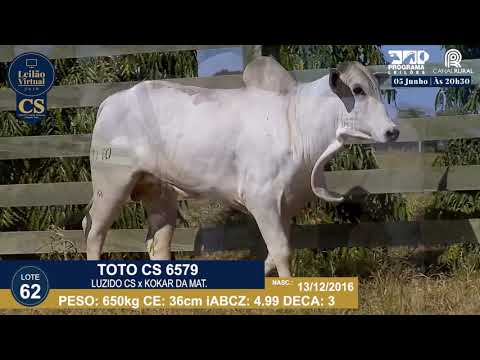 LOTE 62