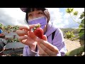 【週末Vlog】跟我們去美國超大農場採草莓！