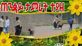🔴አዝናኝ የ አውዳመት ፕራንክ New amazing Ethiopian new year prank video