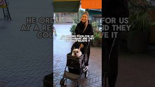 My dog ordered my food   #dog #frenchbulldog #funny #animals #food #pets