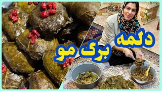 طرز تهیه دلمه برگ مو ، آموزش آشپزی ساده ، غذای خوشمزه ایرانی screenshot 5