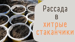 Как сделать литровые стаканчики для рассады