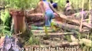 Green Kalinga Environmental Video - Intro Mode