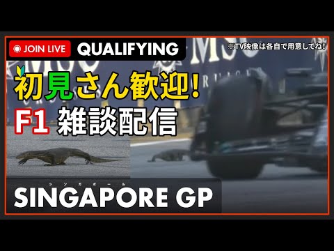 【F1 2023】初見さん歓迎！LIVE SINGAPORE GP Qualifying - シンガポールGP 予選 #こゆきライブ 984