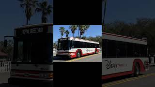Breaking News: The Bus System May Be Changing at Disney World...