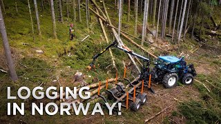 How They Log Trees in Norway!