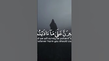 آيات بينات من الذكر الحكيم ♥️