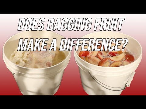 Video: Bagaimana cara membuat campuran bagging?