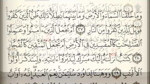 Holy Quran - Chapter 38 - سورة ص - تلاوة يمان قيطاز