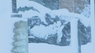 Chicago suburbs digging out of snow