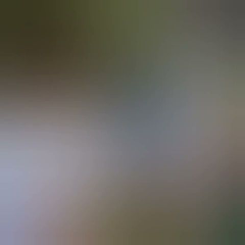『白石麻衣💖、バッティングセンターに行ってみた⚾️♪』白石麻衣💖、アイス片手に至福の時間⏰💖。…#白石麻衣 #乃木坂46 #shorts