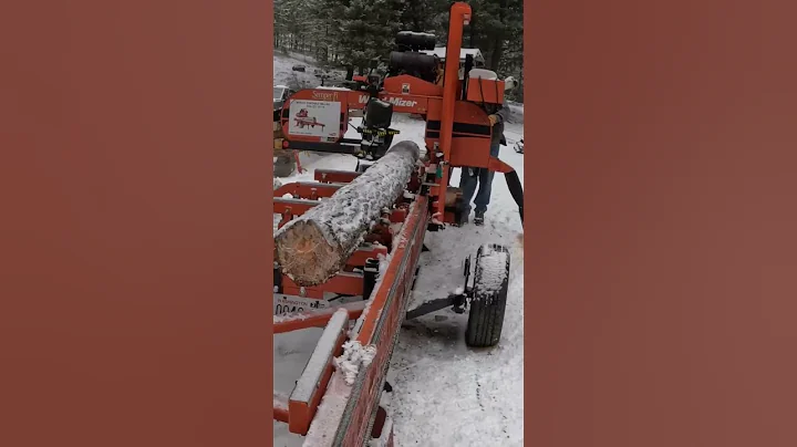 Bent Logs Make Bent Lumber #woodmizer #sawmill #sawmilling