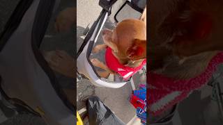 What Did We Stumble Upon Here