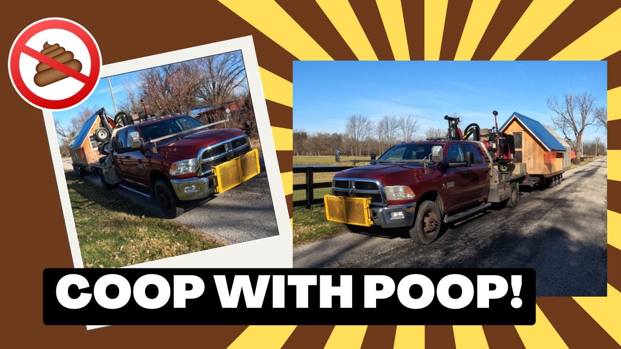 Coop with POOP! | Chicken Coop Repo Vlog #5 - YouTube