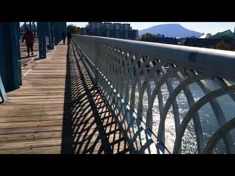 Video: ¿Qué puente cayó en Chattanooga Tennessee?
