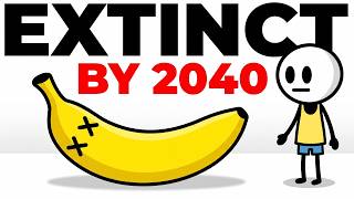 Why Bananas Will Go Extinct By 2040