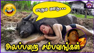 சிரிப்பான விலங்கு சம்பவங்கள் | Animal Sambavangal | Pt.5 | The Magnet Family 2.0