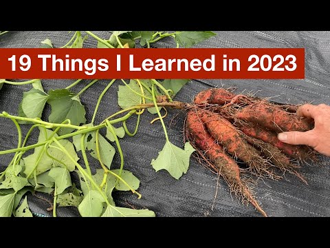 19 Things I Learned In 2023