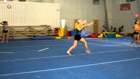 Switch leap wolf full shushunovia 1/2.