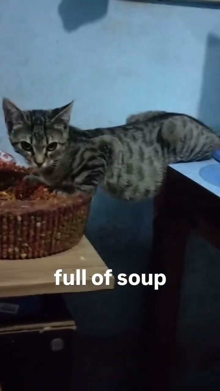 Kittyo like ahhh I got so much soup in me playing that prvnci