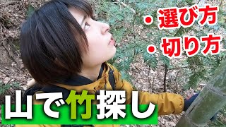 【田舎暮らし】ノコギリ1本持って竹林に来ました【竹に無駄に詳しくなれる動画】