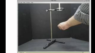 Pith Ball Lab
