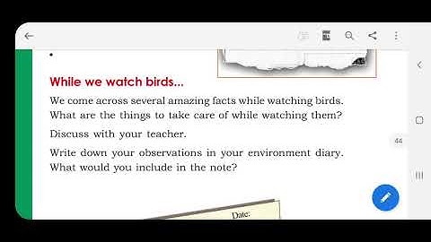 class 4 wonder world of bird