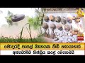 මෝදරදී|sin